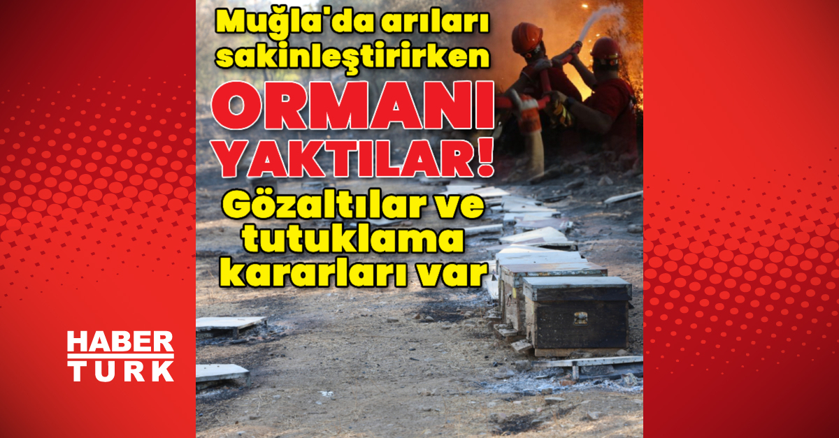 Orman yangınlarında ikinci hafta! Manisa, Muğla ve Uşak’ta alevler kontrol altında