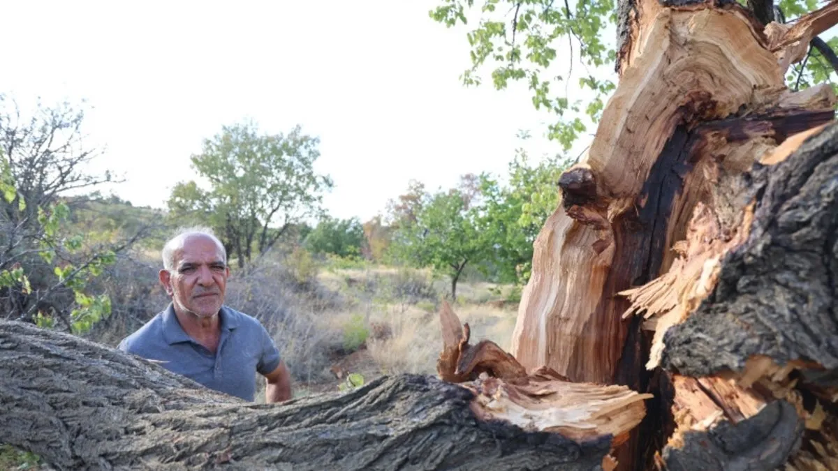 Bütün köy diken üstünde: Bugüne kadar 3 kez yaşandı! Büyük bir ışık patlıyor!